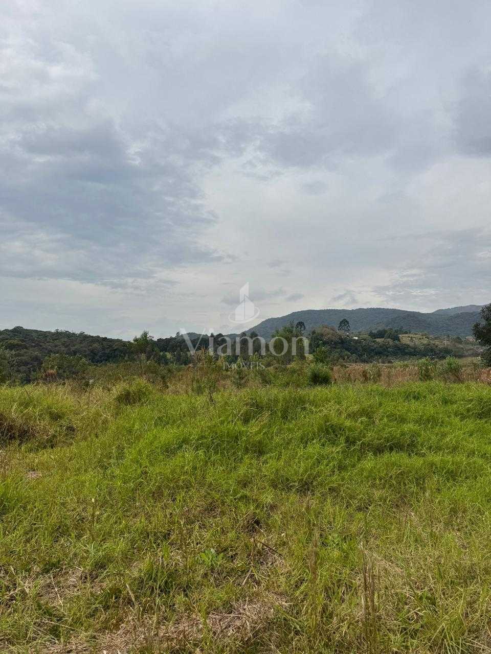 Chácara à venda em São José dos Pinhais com escritura e amplo ...