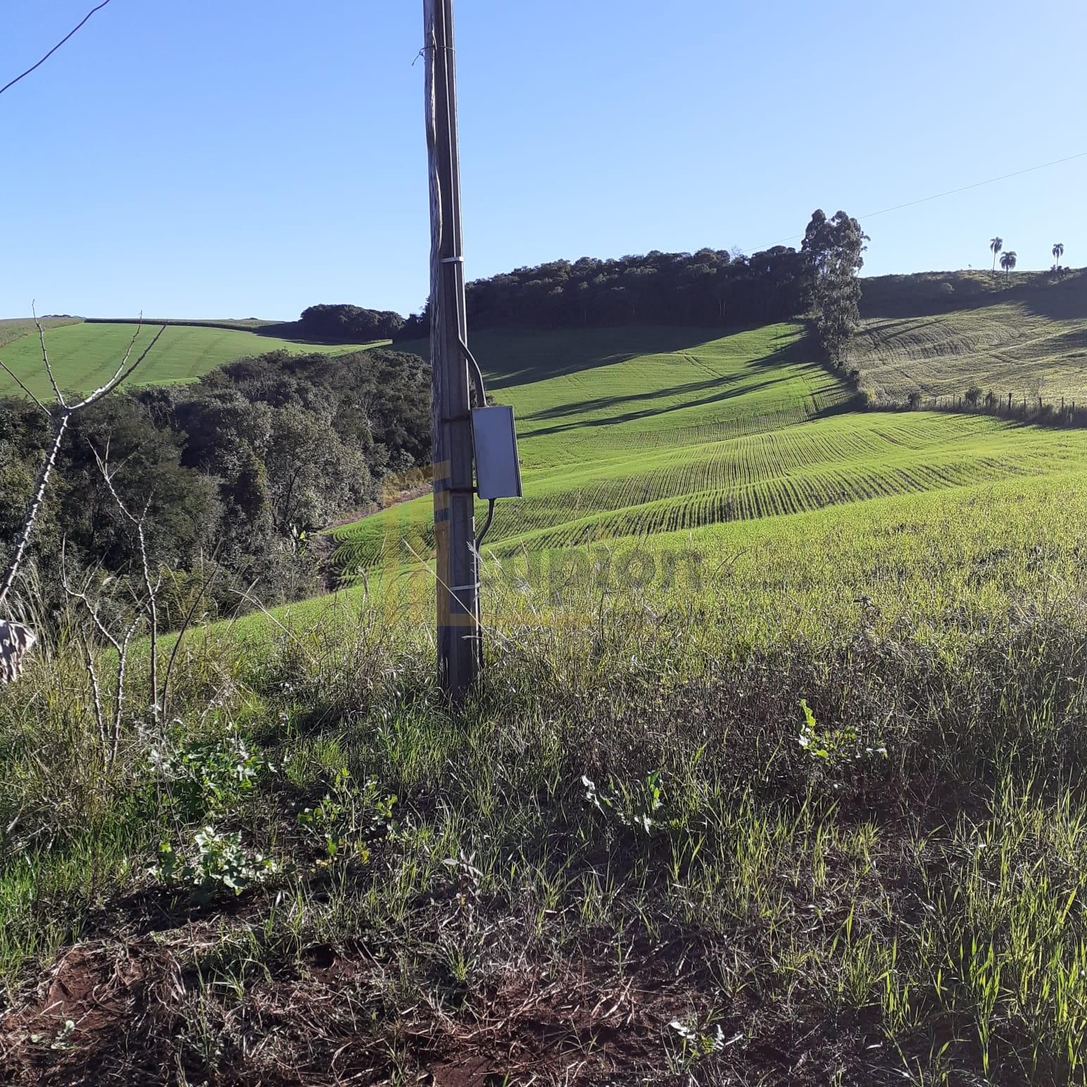 Sítio  á venda no norte do Paraná na região  de Pitanga