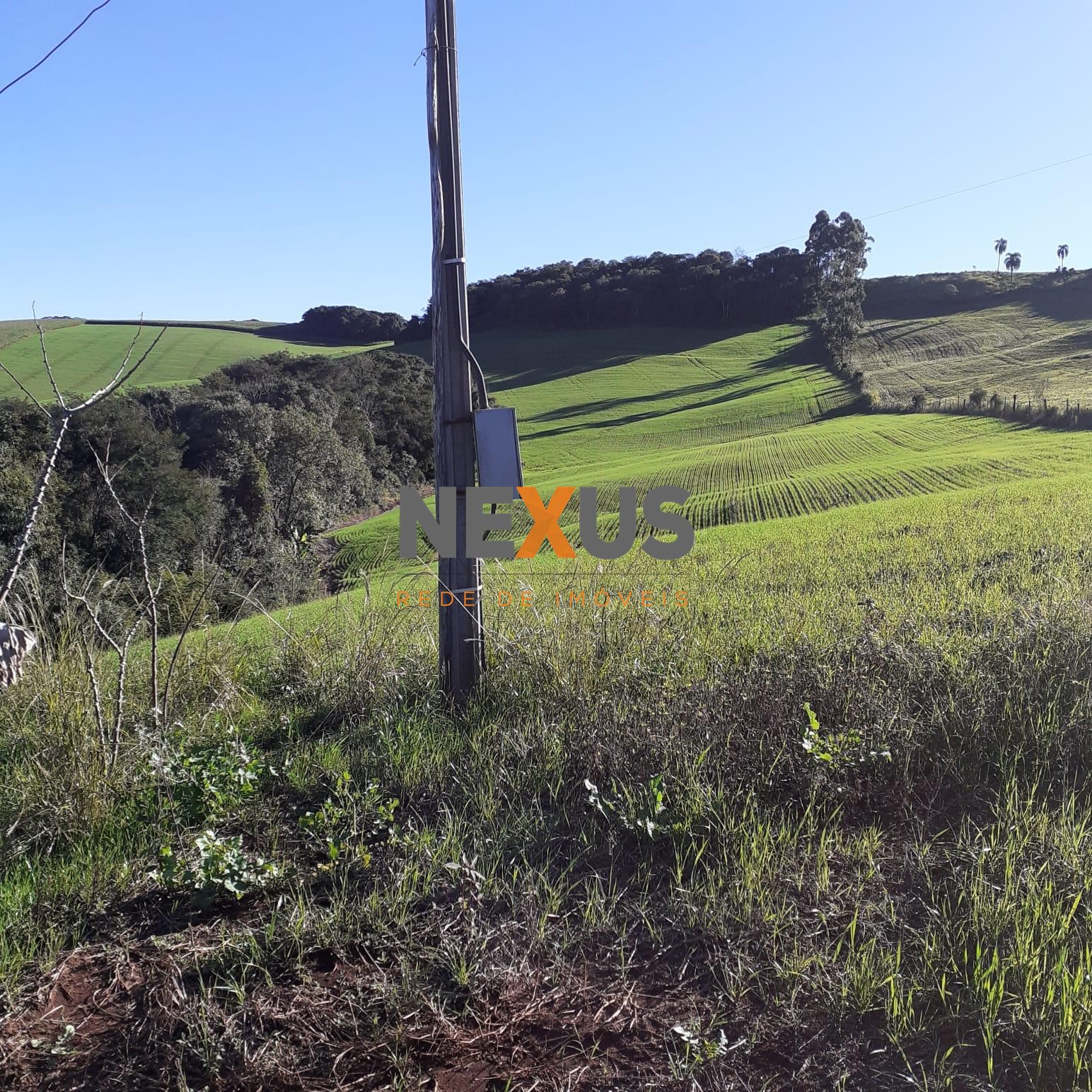 Sítio á venda no norte do Paraná na região de Pitanga