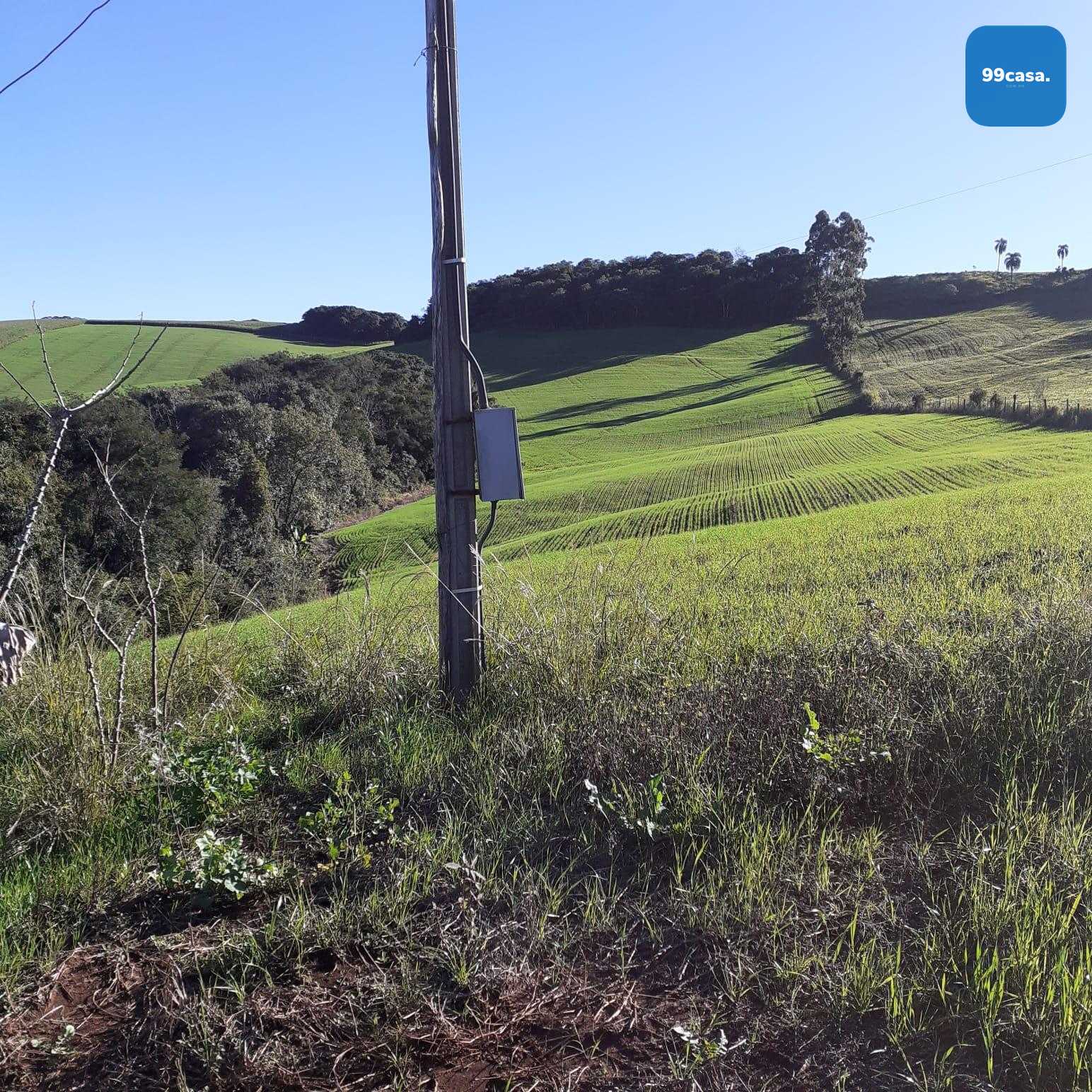 Sítio  á venda no norte do Paraná na região  de Pitanga