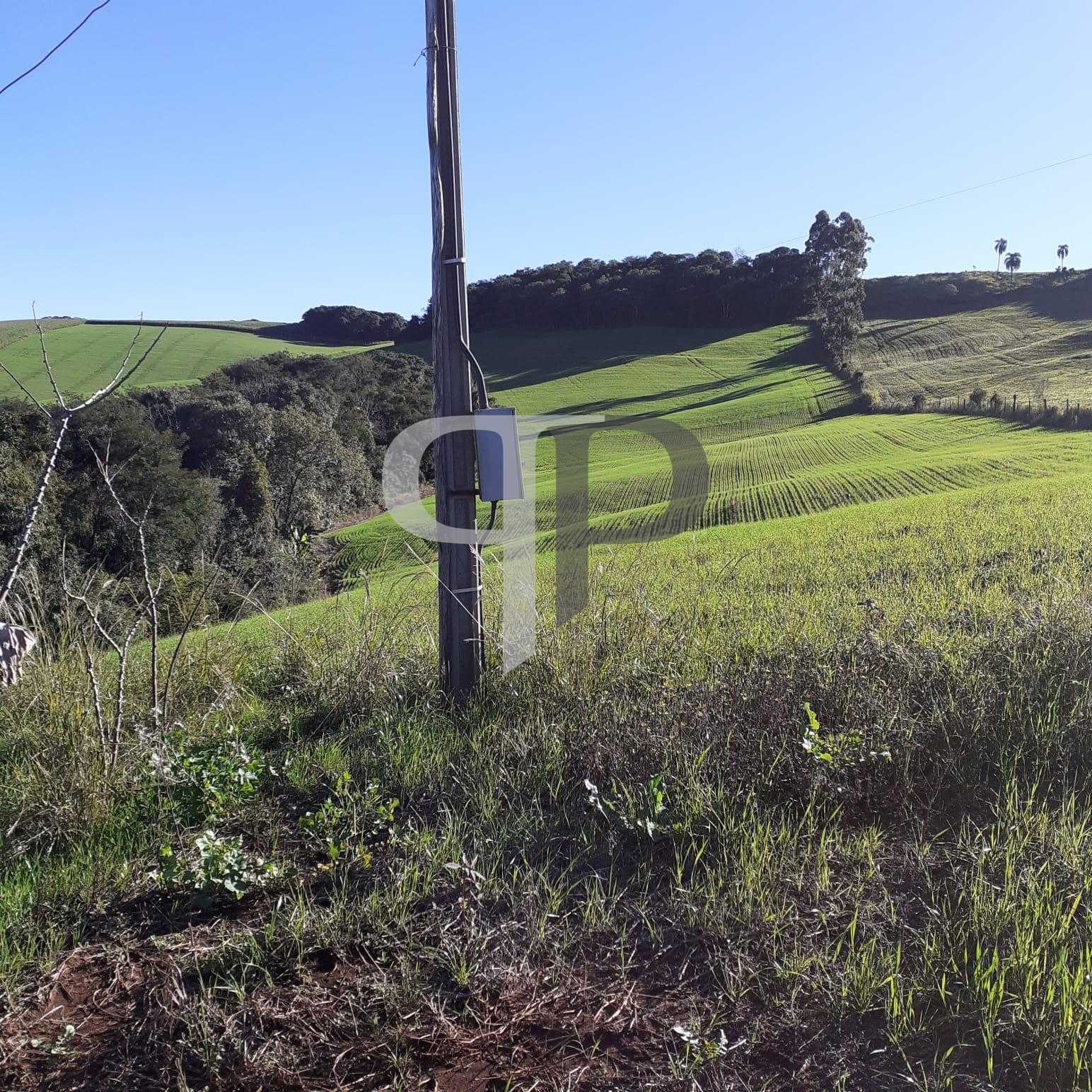 Sítio  á venda no norte do Paraná na região  de Pitanga