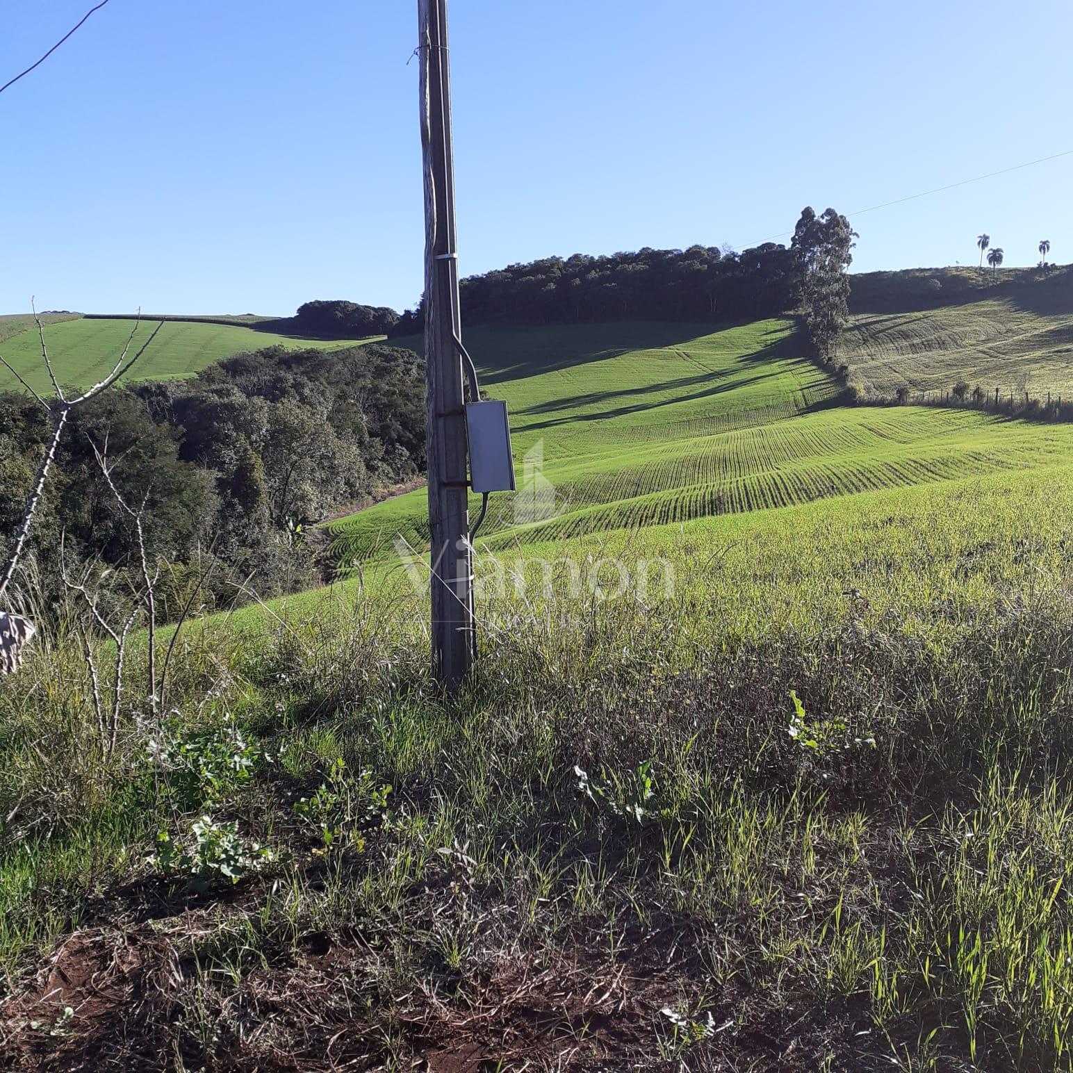 Sítio  á venda no norte do Paraná na região  de Pitanga