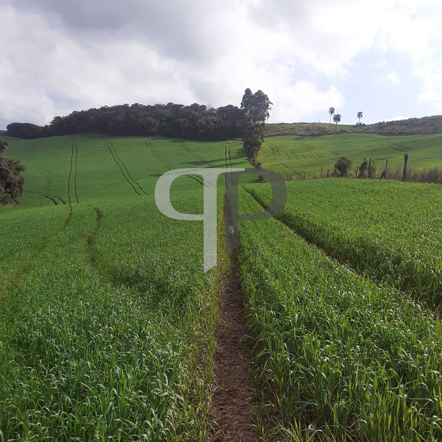 Sítio  á venda no norte do Paraná na região  de Pitanga