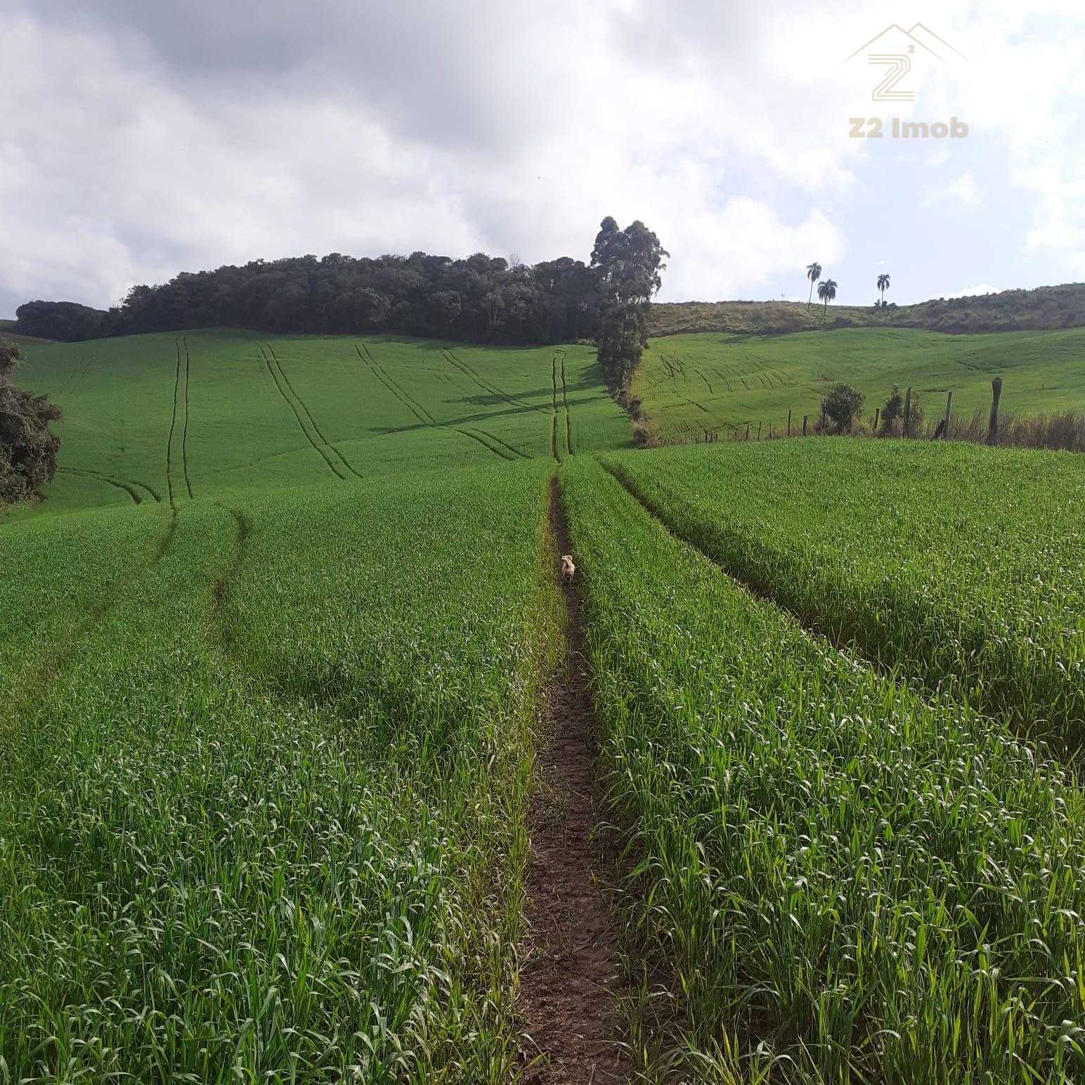 S?tio  ? venda no norte do Paran? na regi?o  de Pitanga