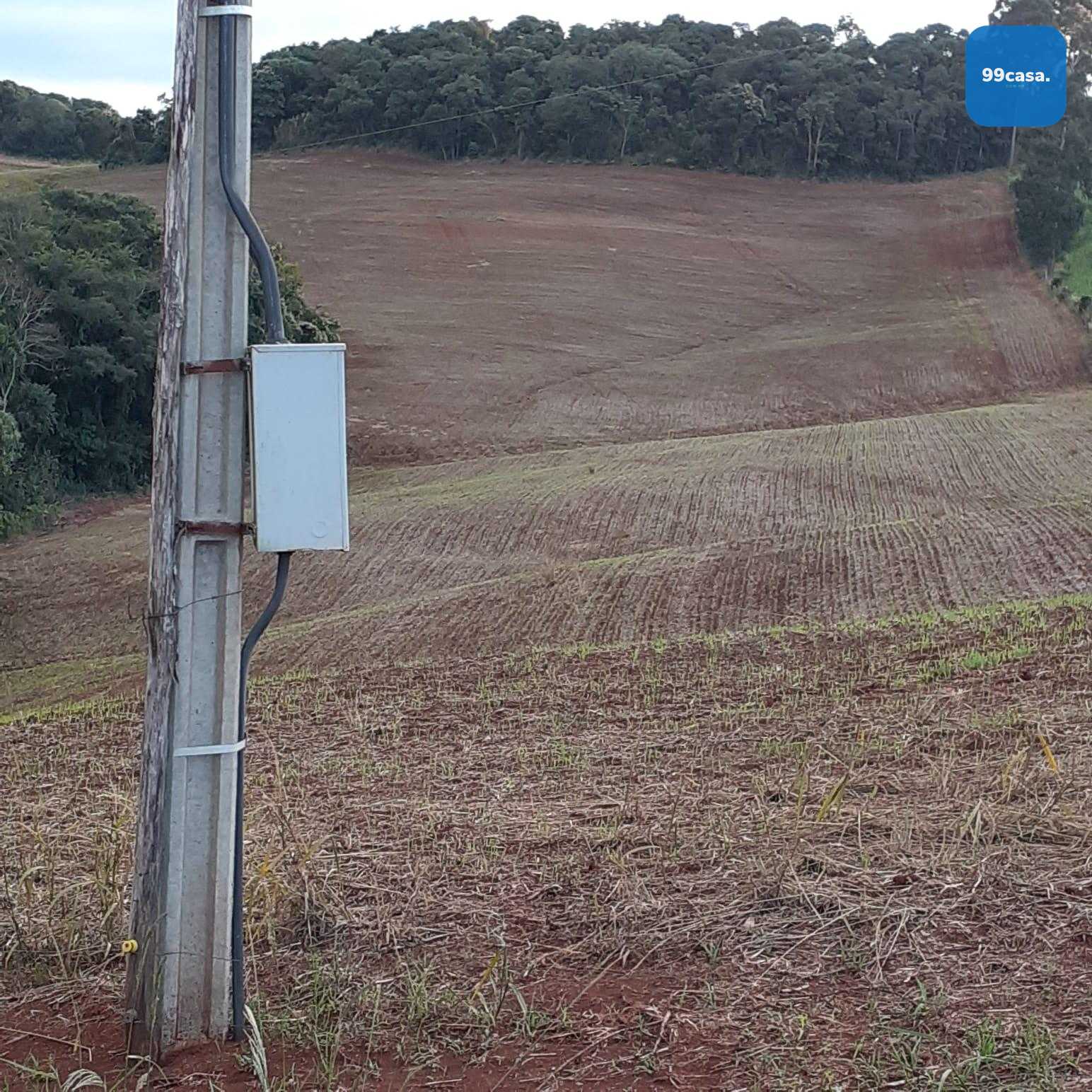 Sítio  á venda no norte do Paraná na região  de Pitanga
