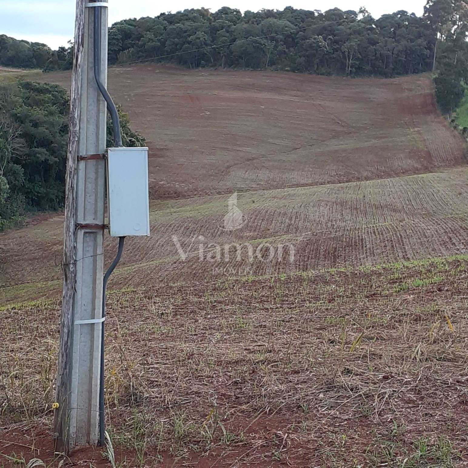 Sítio  á venda no norte do Paraná na região  de Pitanga
