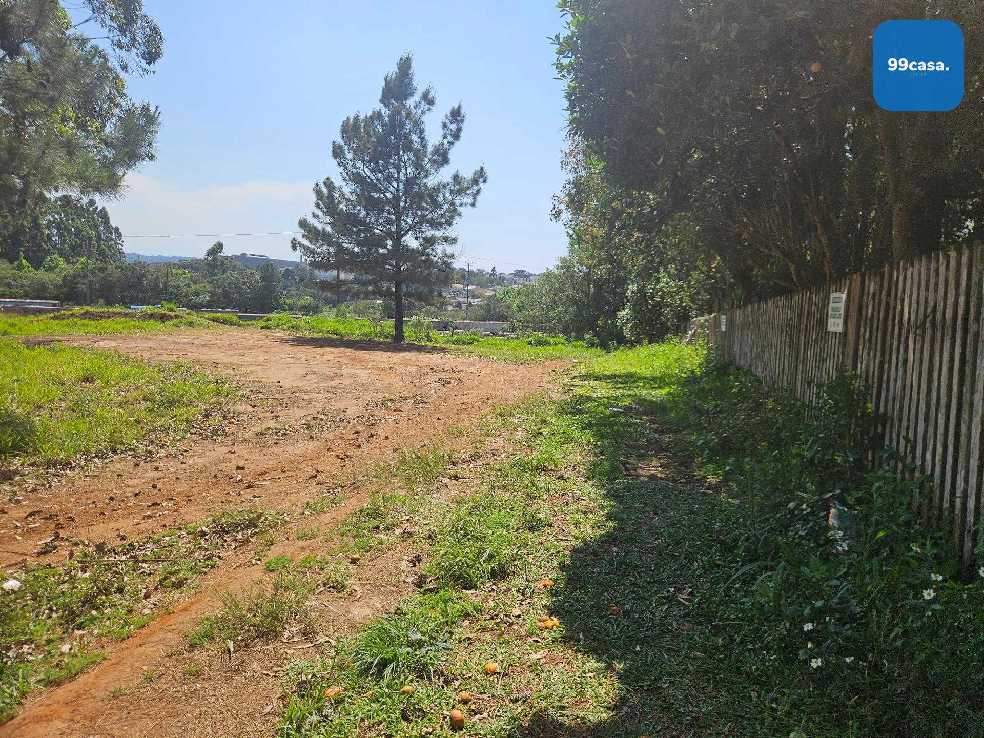 Terreno ZR- 2 para 12 pavimentos, no bairro Estação em Araucária