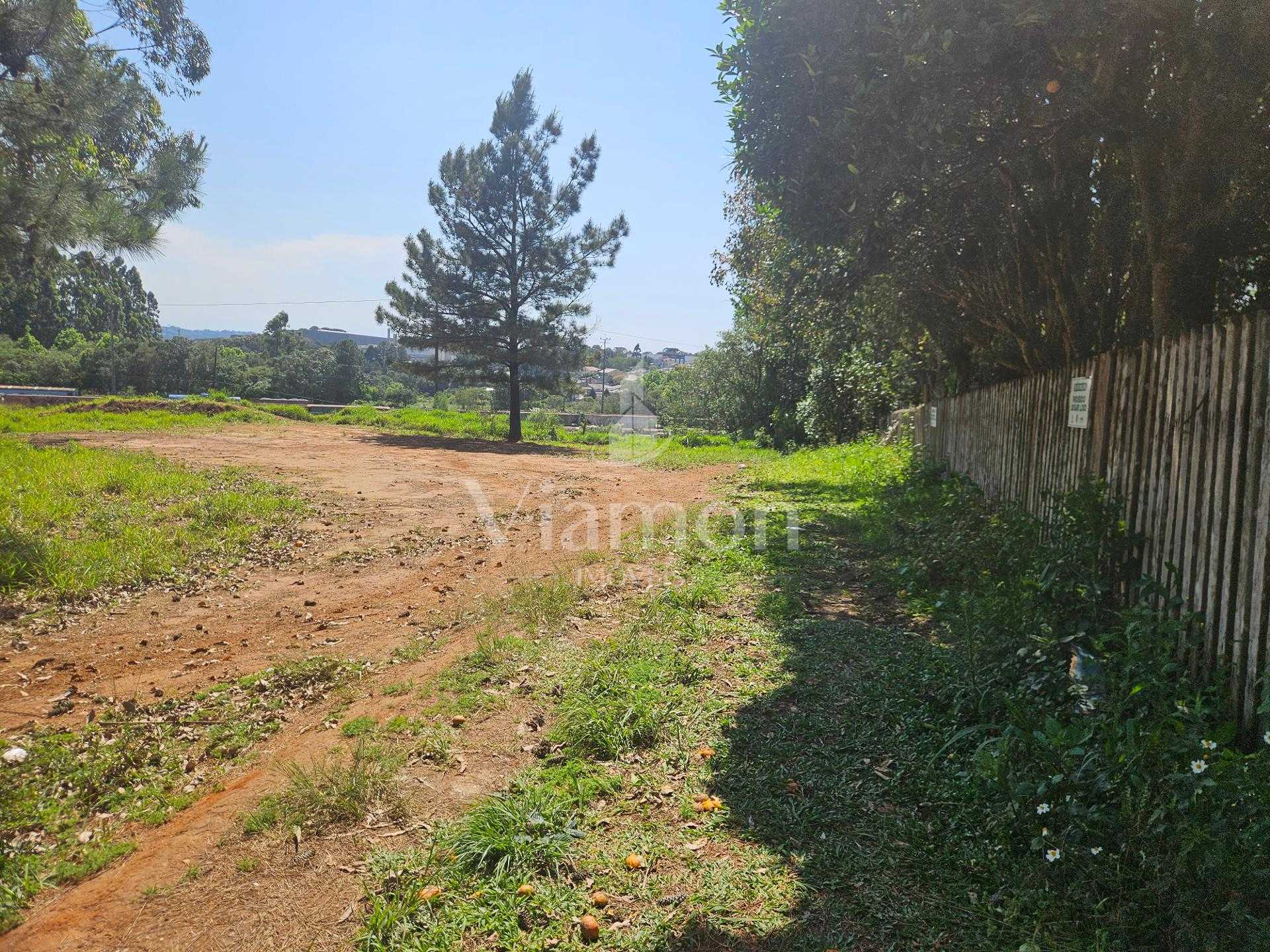Terreno ZR- 2 para 12 pavimentos, no bairro Estação em Araucária