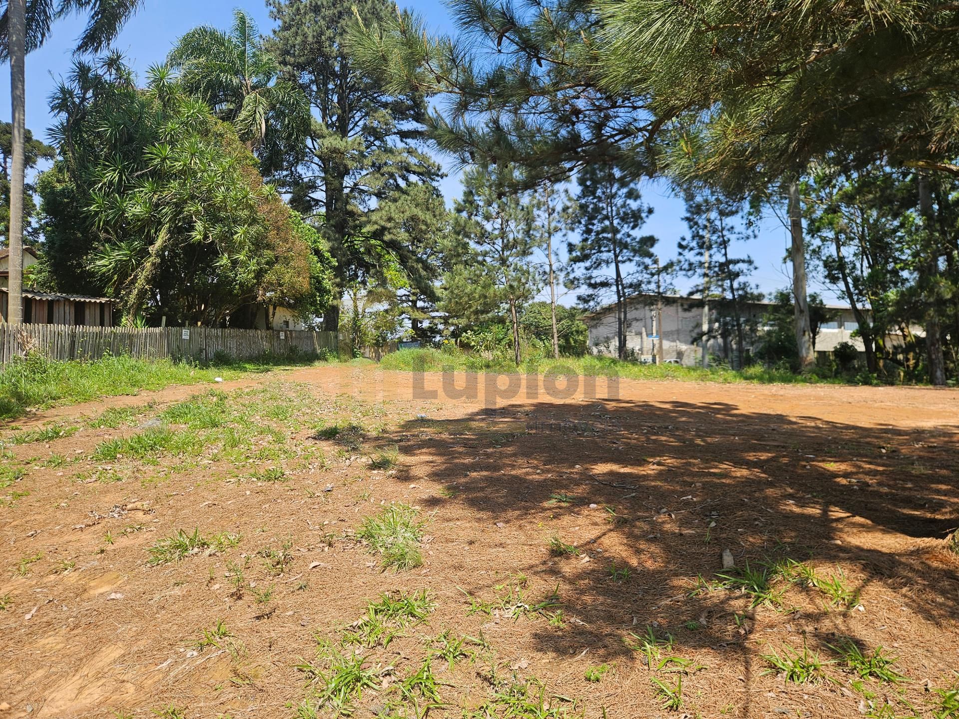 Terreno ZR- 2 para 12 pavimentos, no bairro Estação em Araucária