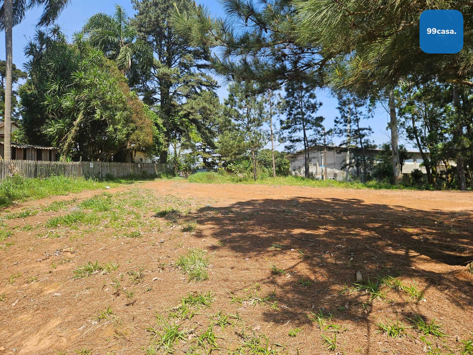 Terreno ZR- 2 para 12 pavimentos, no bairro Estação em Araucária