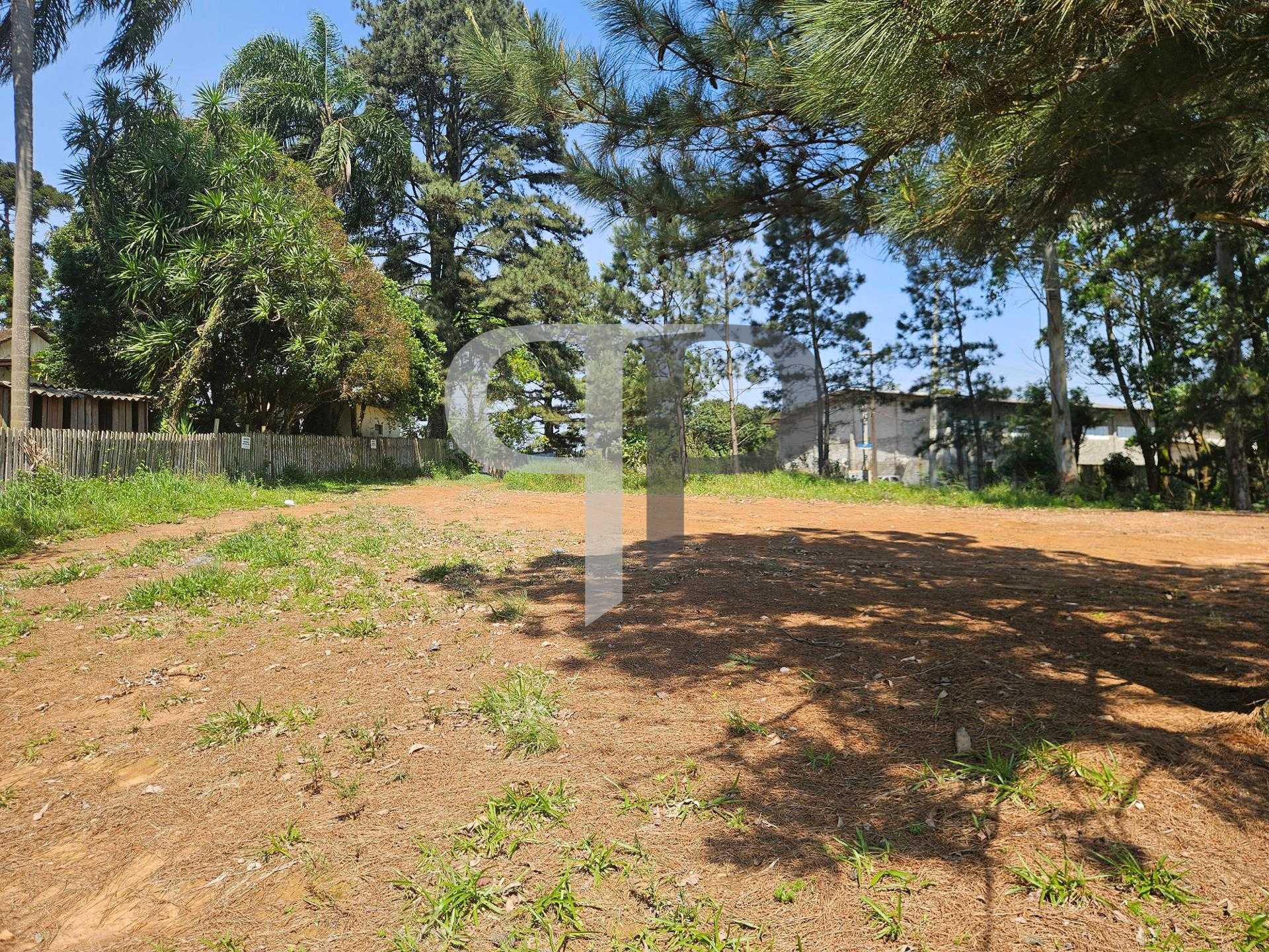 Terreno ZR- 2 para 12 pavimentos, no bairro Estação em Araucária