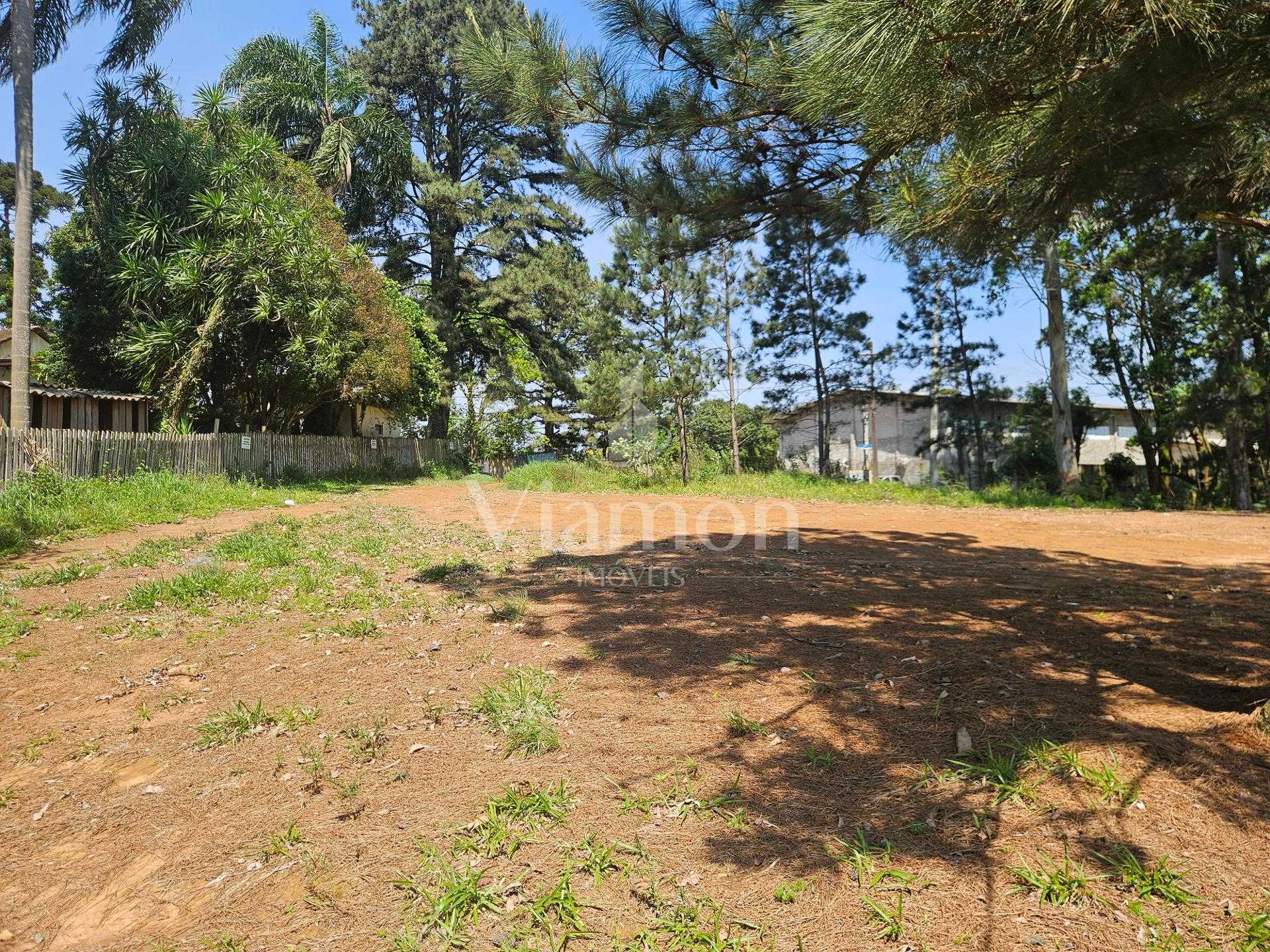 Terreno ZR- 2 para 12 pavimentos, no bairro Estação em Araucária