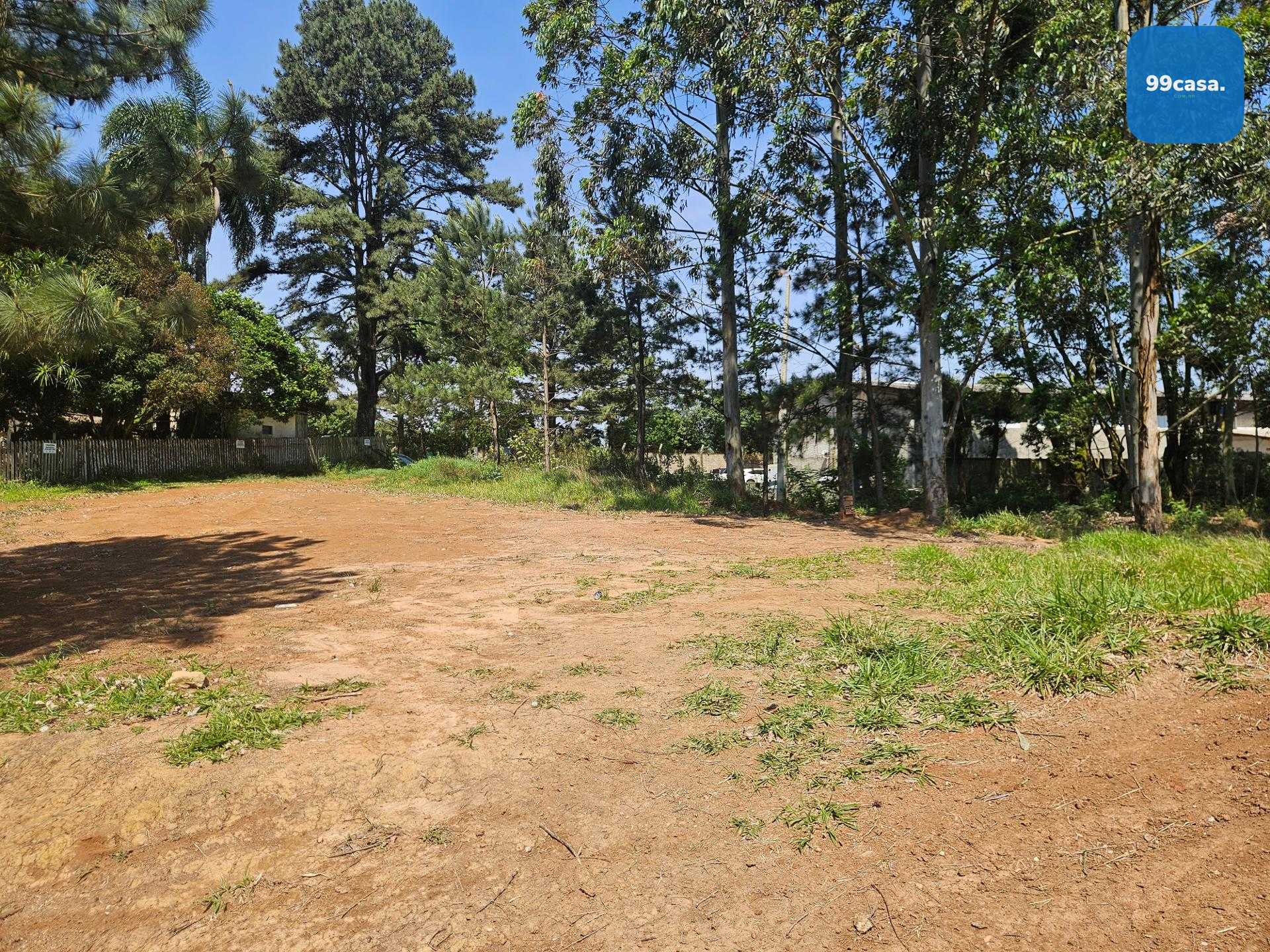 Terreno ZR- 2 para 12 pavimentos, no bairro Estação em Araucária