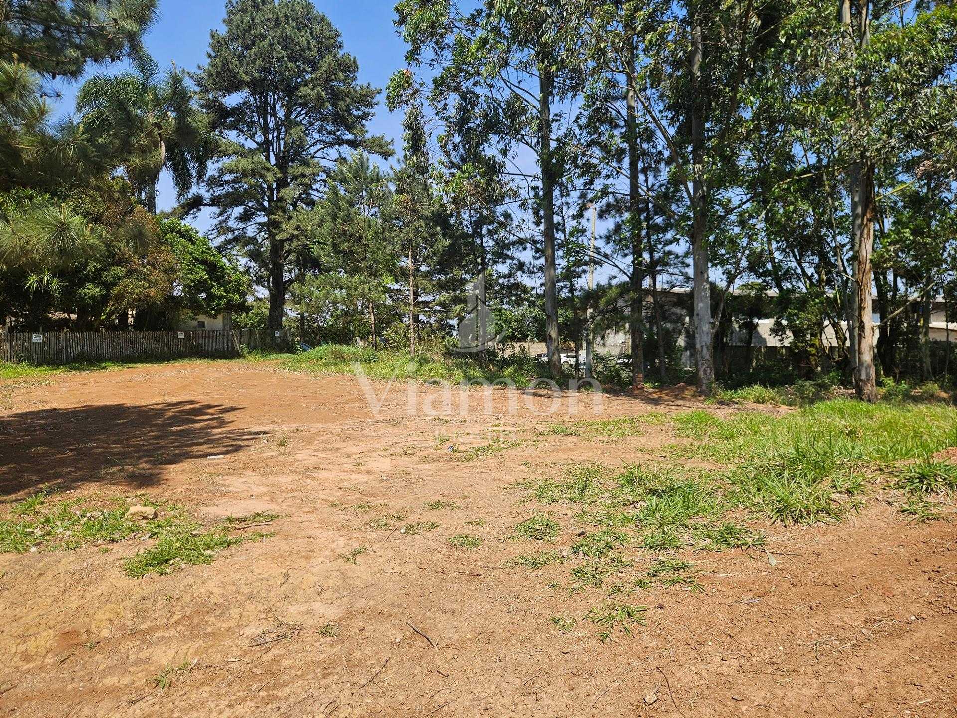 Terreno ZR- 2 para 12 pavimentos, no bairro Estação em Araucária