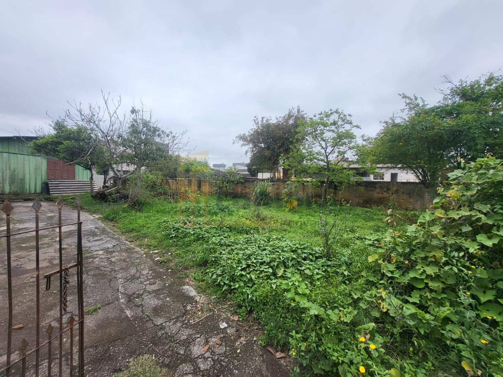 Terreno de 546 m² no Fazendinha para construir ou investir