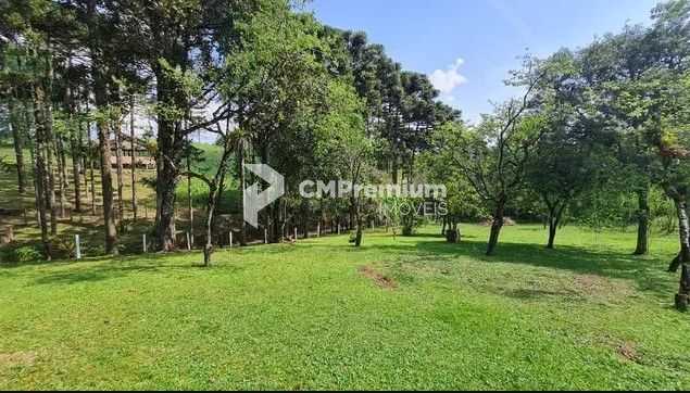 Sítio em Quatro Barras  150.000 m  com casas, pomar, campo e m...