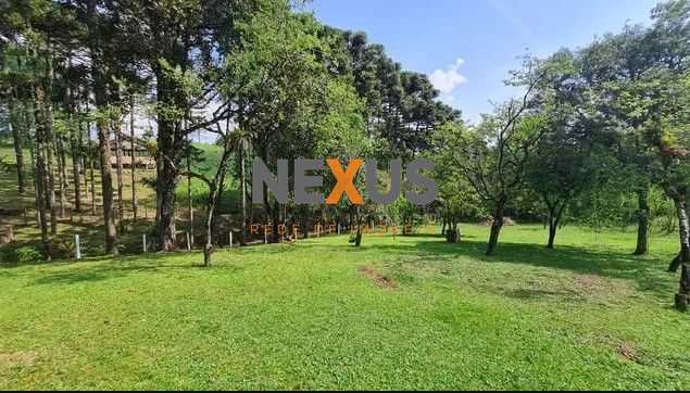 Sítio em Quatro Barras  150.000 m  com casas, pomar, campo e m...