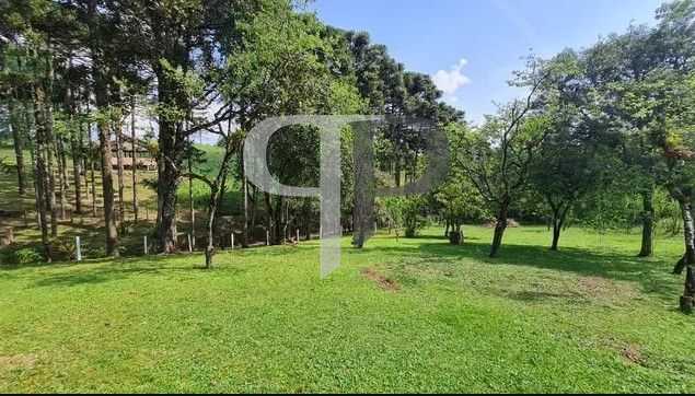 Sítio em Quatro Barras  150.000 m  com casas, pomar, campo e m...