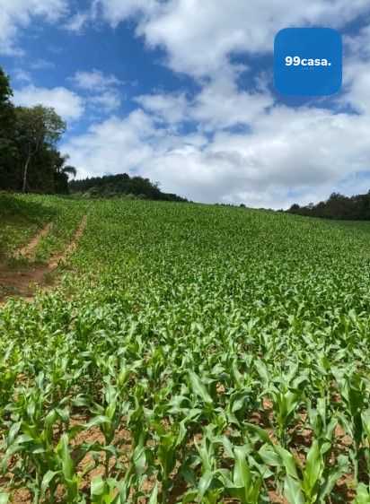 Terreno de 9,46 ha em Tijucas do Sul  Ideal para Agricultura o...
