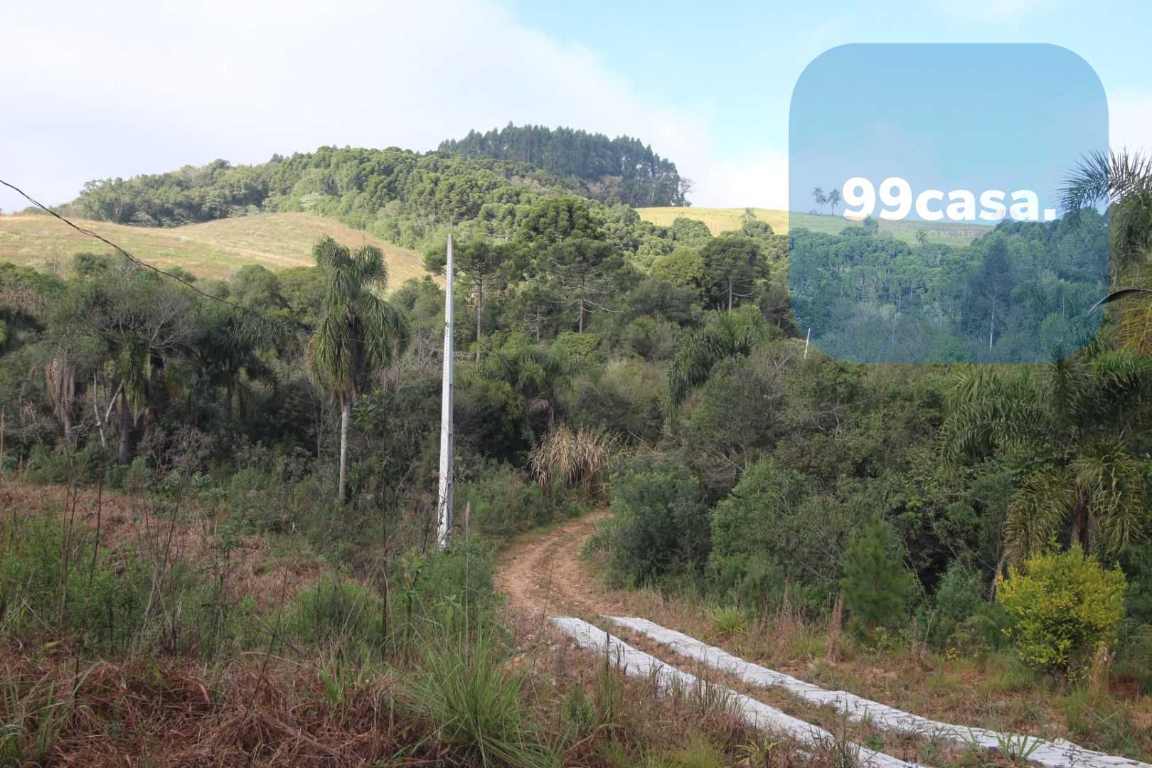 Chácara com Casa, Água Mineral e Amplo Pátio  Quitandinha Lapa