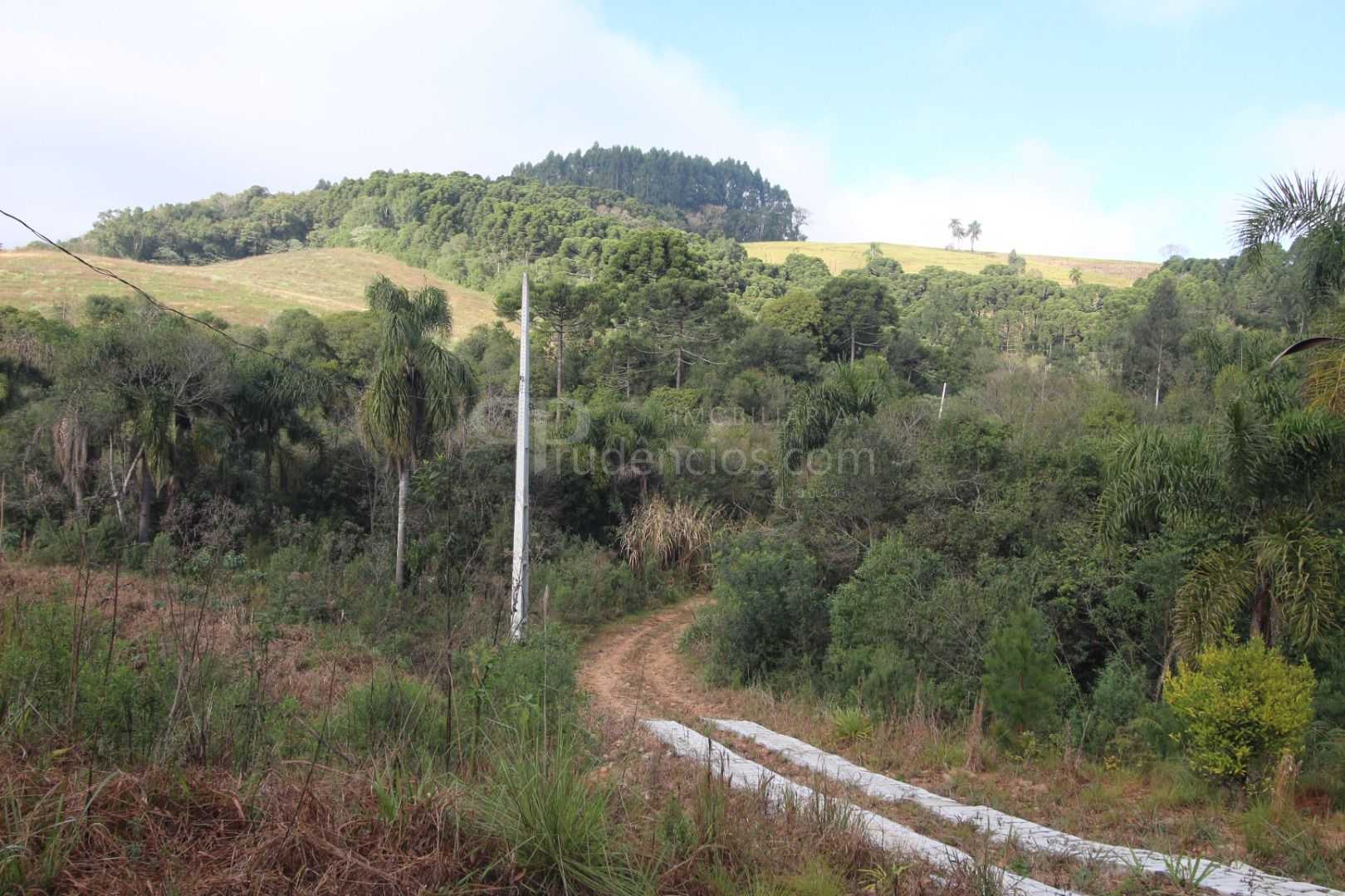 Chácara com Casa, Água Mineral e Amplo Pátio  Quitandinha Lapa