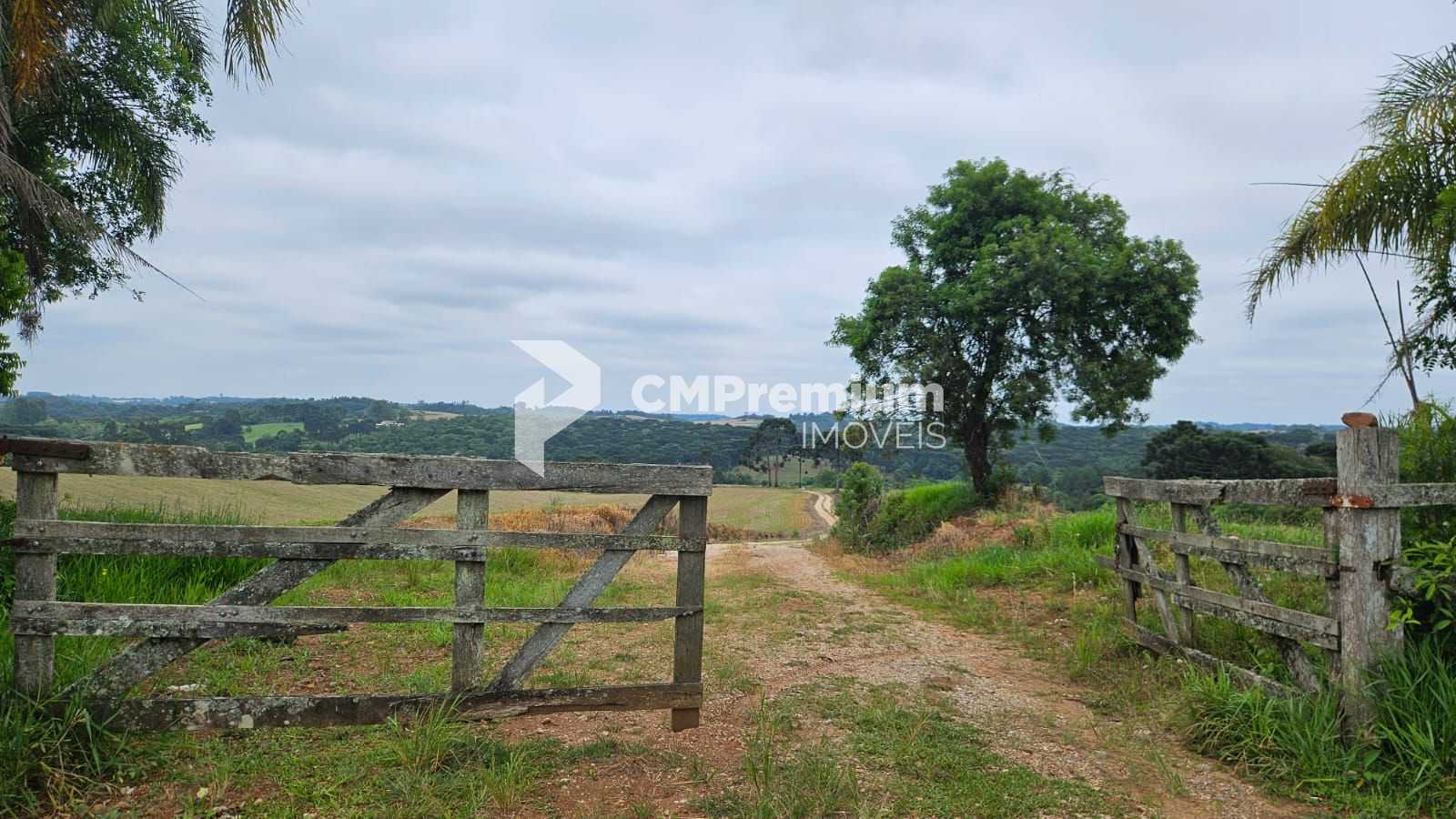Sítio de 35 alqueires em Contenda-PR com rio, nascentes e área...