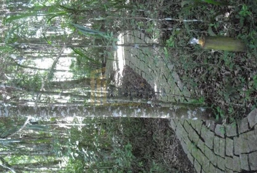 Casa de Alto Padrão em Condomínio Fechado  Quatro Barras PR