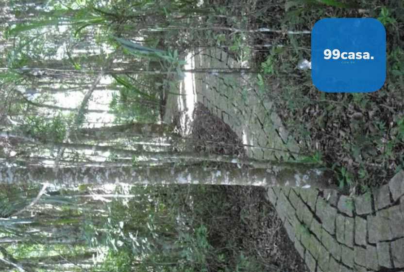 Casa de Alto Padrão em Condomínio Fechado  Quatro Barras PR