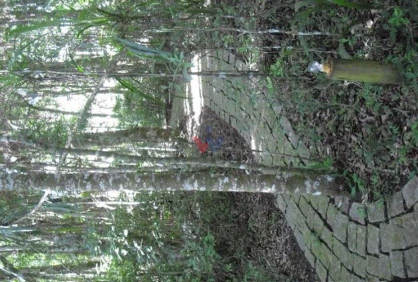 Casa de Alto Padrão em Condomínio Fechado  Quatro Barras PR