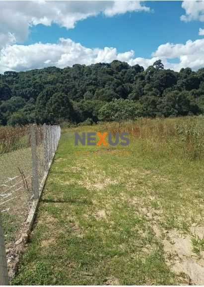 Terreno Rural em Contenda PR com 10.500 m , Mata Nativa, Riach...