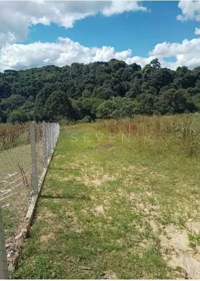 Terreno Rural em Contenda PR com 10.500 m , Mata Nativa, Riach...