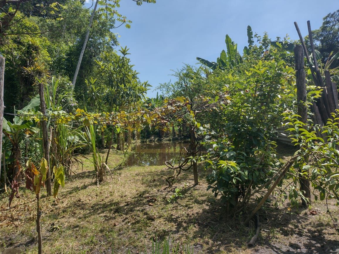 Chácara em Alexandra, Paranaguá, Casa, Tanques de Peixe e Alto...