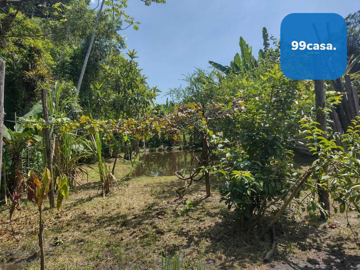 Chácara em Alexandra, Paranaguá, Casa, Tanques de Peixe e Alto...