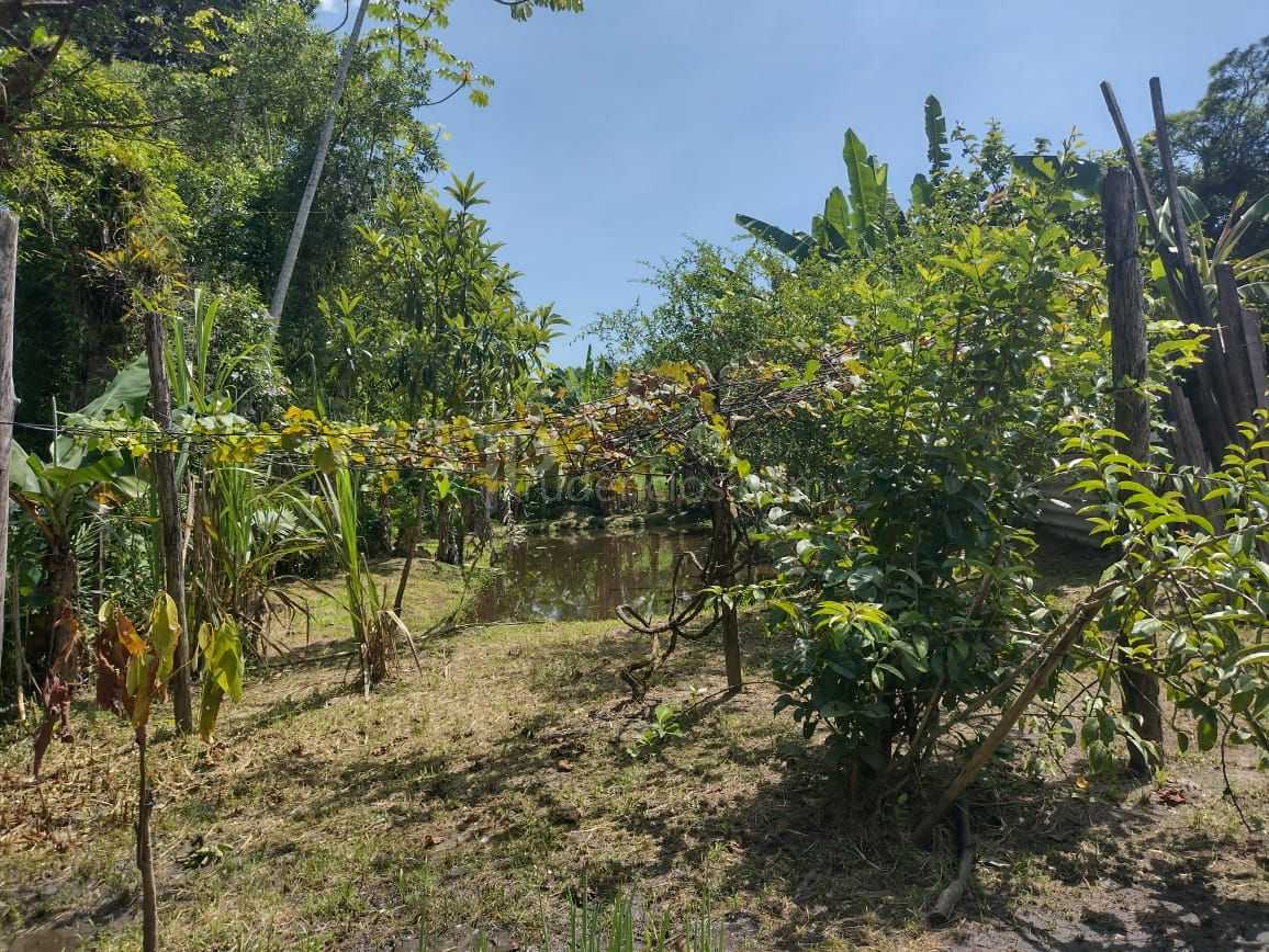 Chácara em Alexandra, Paranaguá, Casa, Tanques de Peixe e Alto...