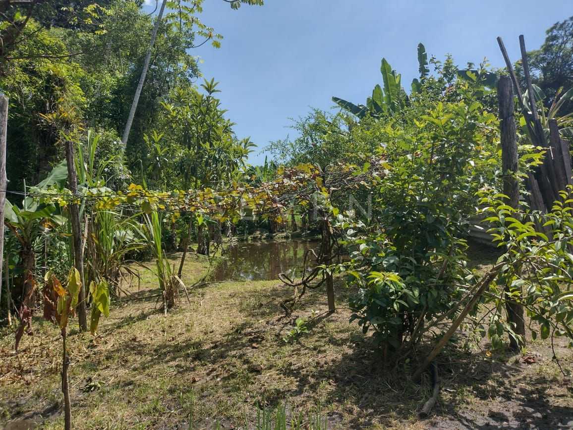 Chácara em Alexandra, Paranaguá, Casa, Tanques de Peixe e Alto...