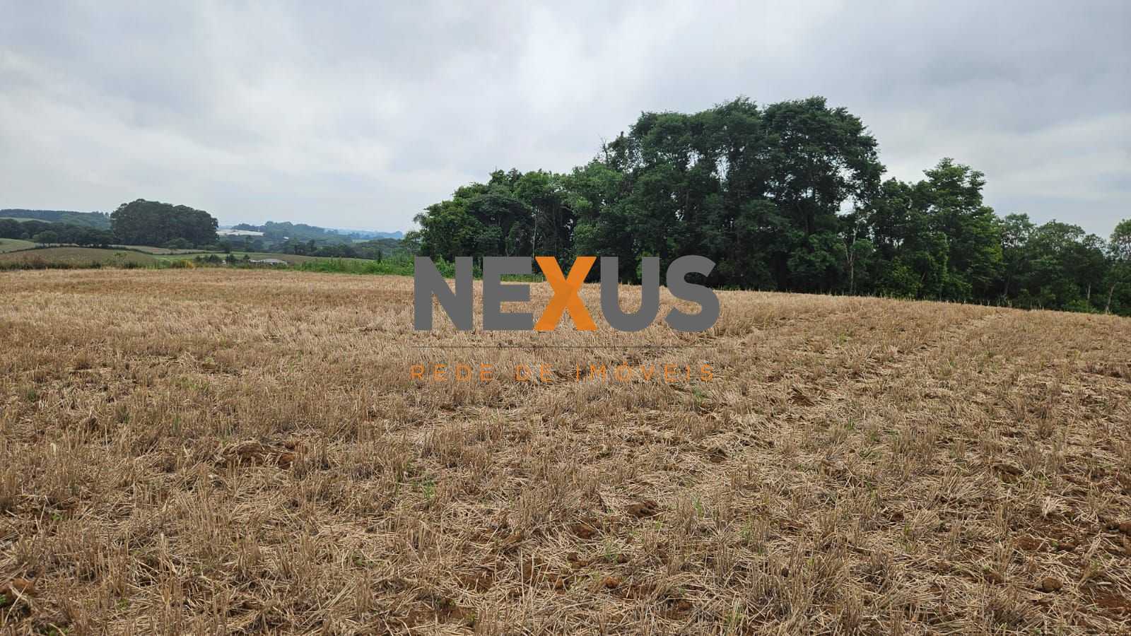 Oportunidade em Araucária  de 67.700 m  de frente para o asfalto