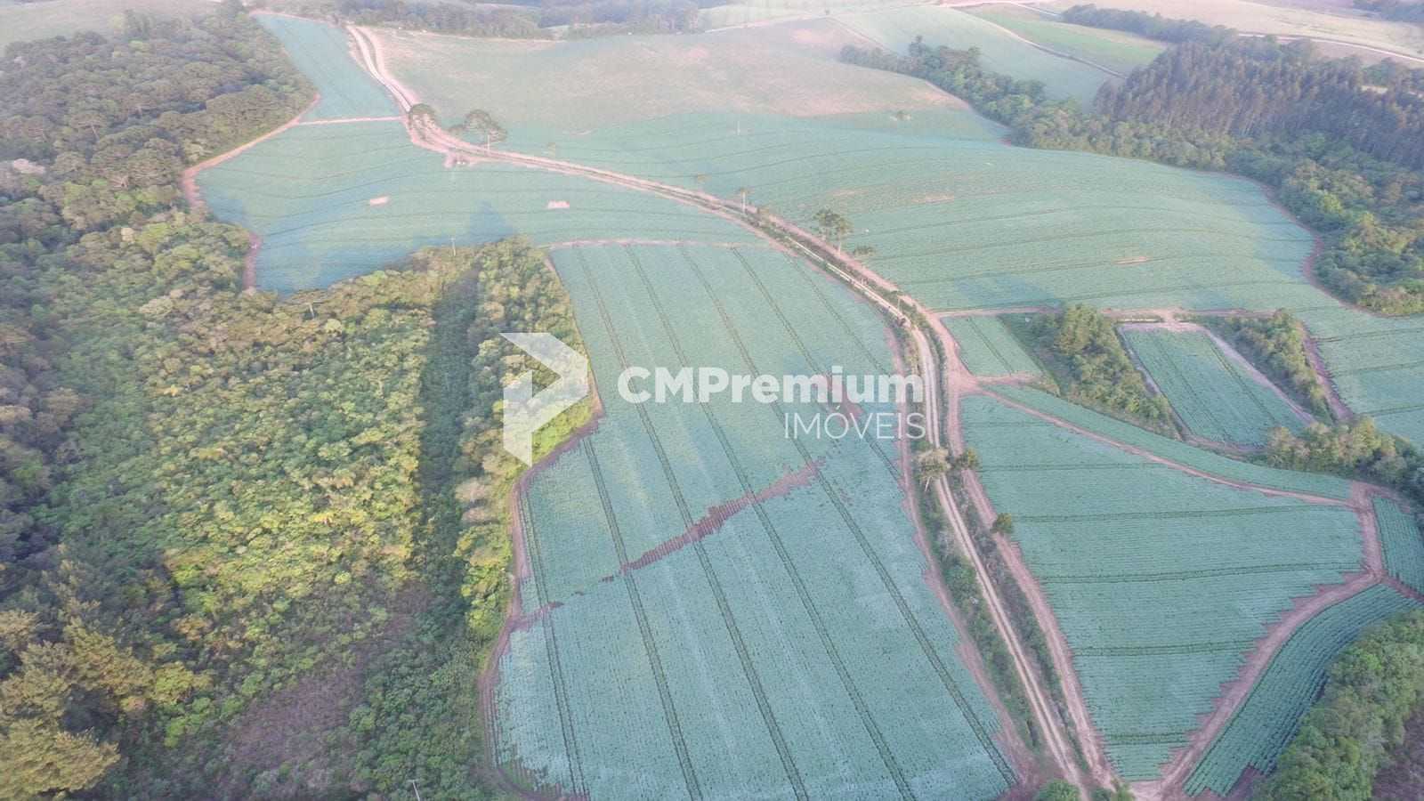 Sítio de 35 alqueires em Contenda-PR com rio, nascentes e área...