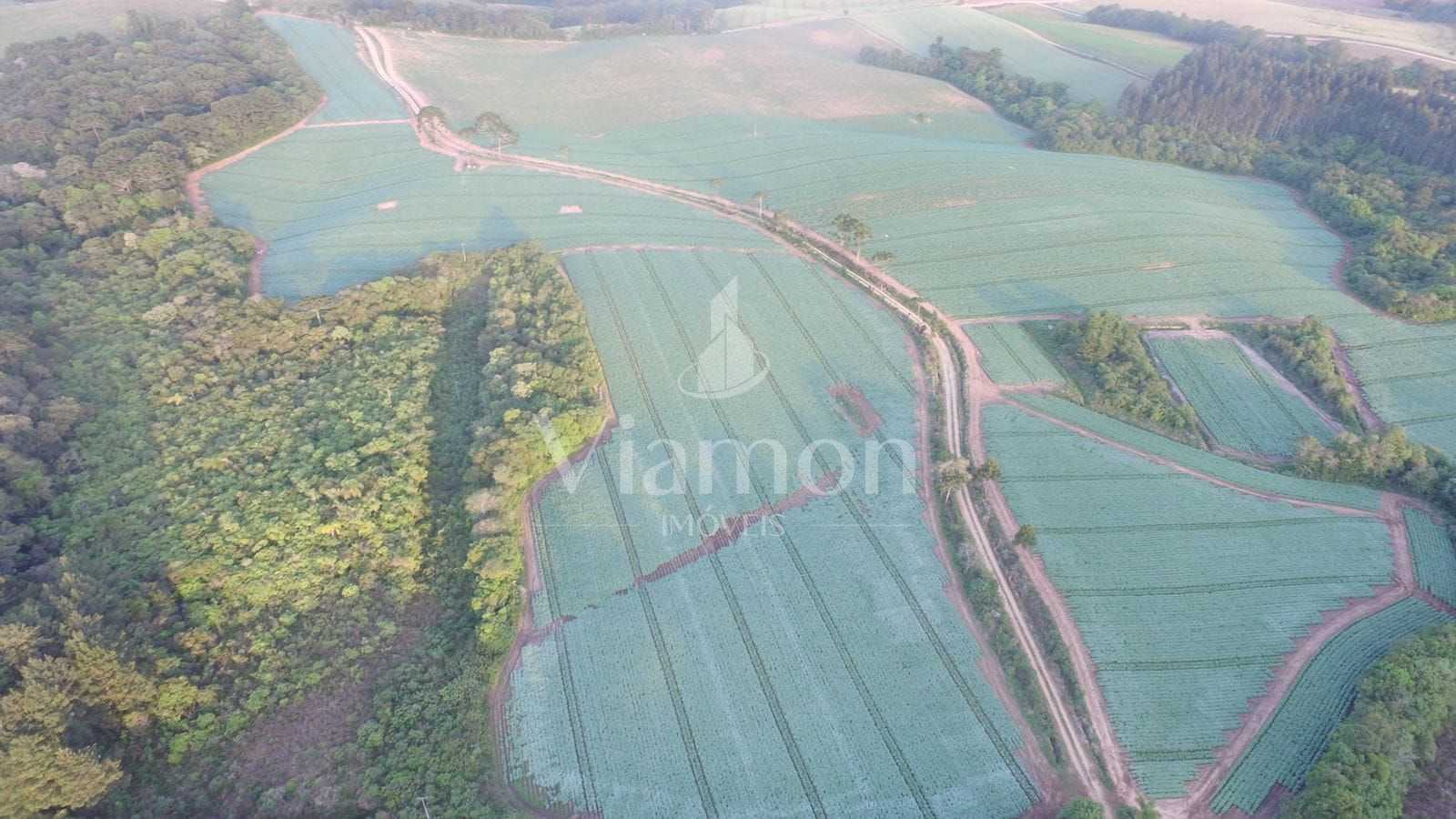 Sítio de 35 alqueires em Contenda-PR com rio, nascentes e área...