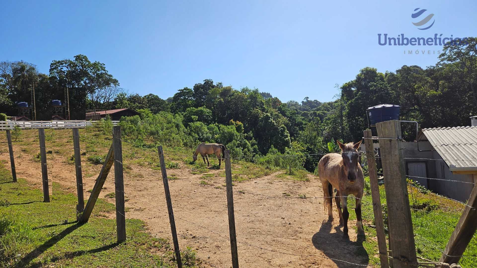 Terreno de 4.361m com córrego e vista incrível na natureza
