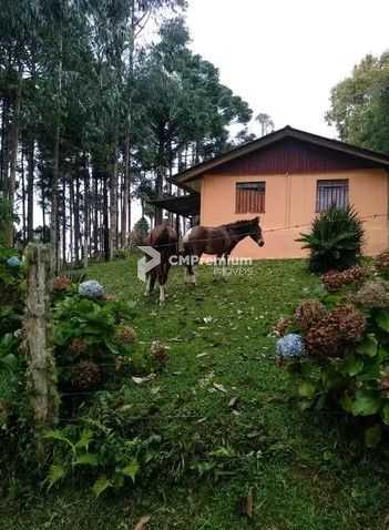 Sítio em Quatro Barras  150.000 m  com casas, pomar, campo e m...