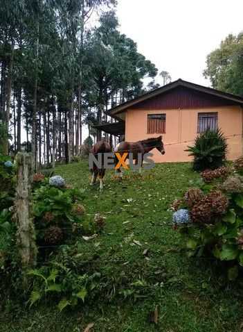 Sítio em Quatro Barras  150.000 m  com casas, pomar, campo e m...