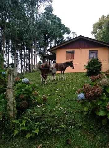 Sítio em Quatro Barras  150.000 m  com casas, pomar, campo e m...