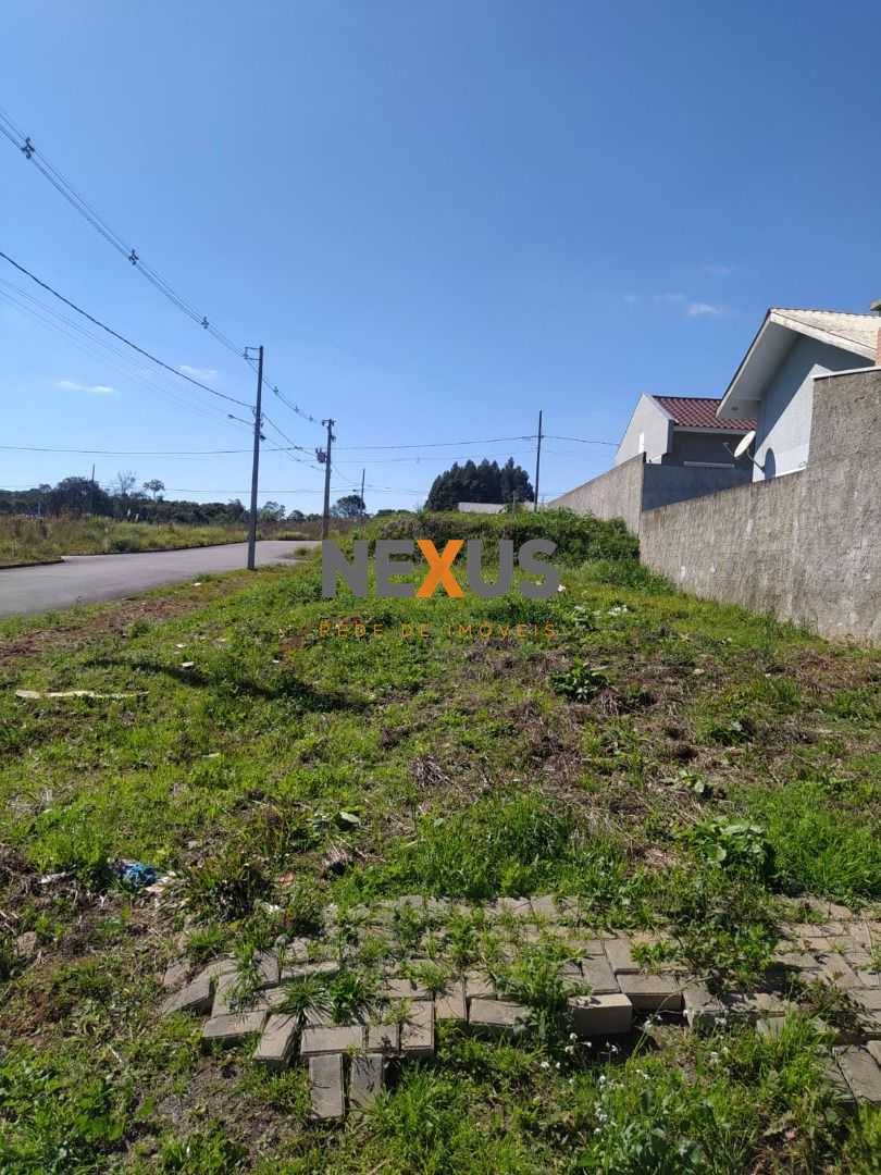 Terreno 180m² à venda em área alta com fácil acesso a Curitiba...