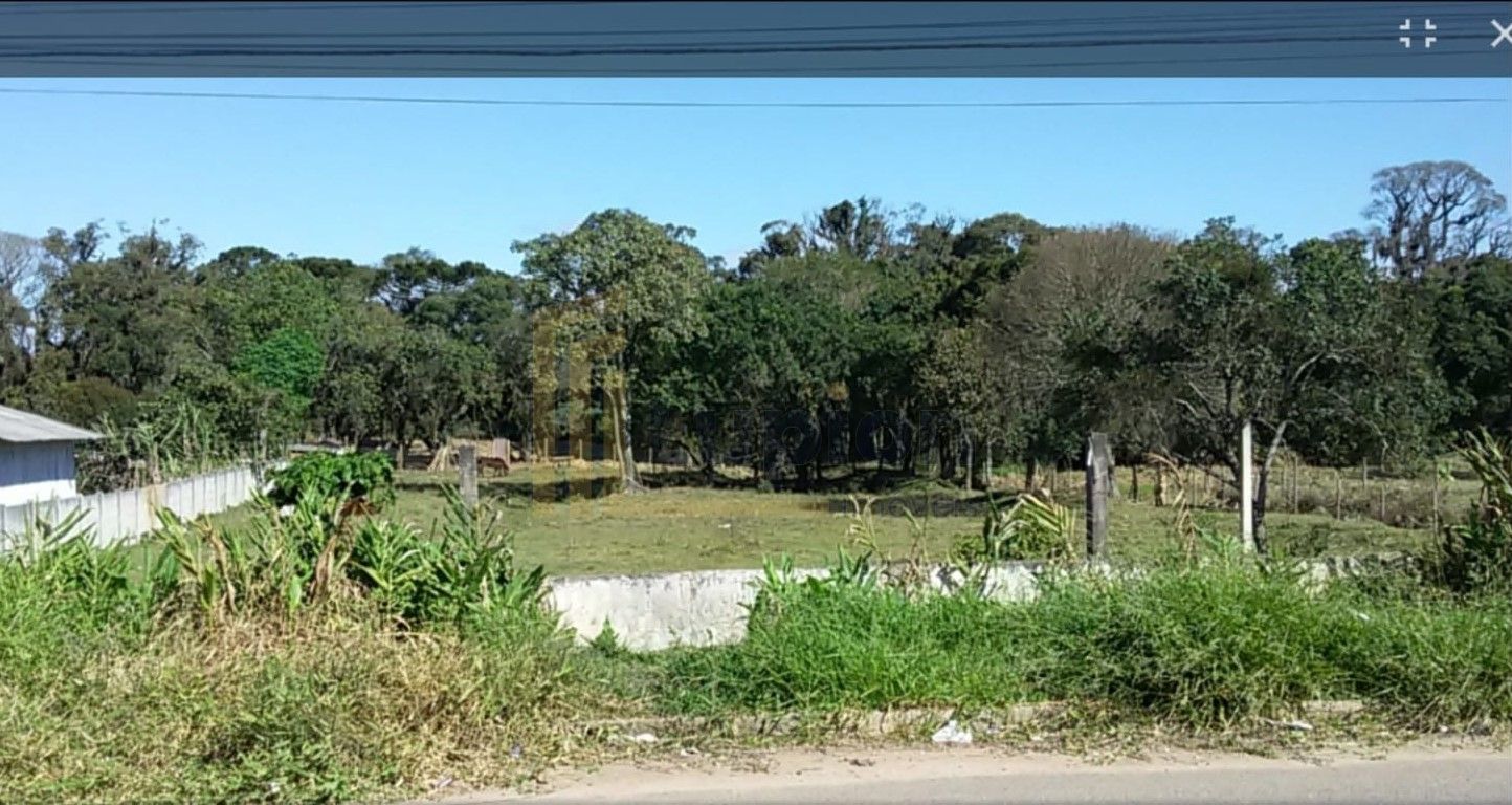 Terreno em Fazenda Rio Grande  Investimento com Potencial de V...