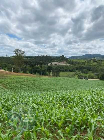 Terreno de 9,46 ha em Tijucas do Sul  Ideal para Agricultura o...