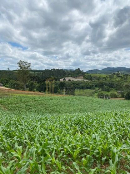 Terreno de 9,46 ha em Tijucas do Sul  Ideal para Agricultura o...