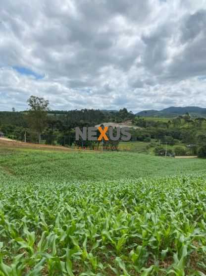 Terreno de 9,46 ha em Tijucas do Sul  Ideal para Agricultura o...