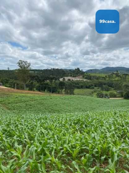 Terreno de 9,46 ha em Tijucas do Sul  Ideal para Agricultura o...