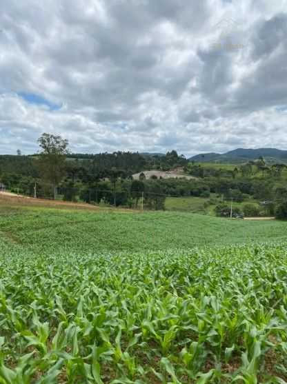 Terreno de 9,46 ha em Tijucas do Sul  Ideal para Agricultura o...
