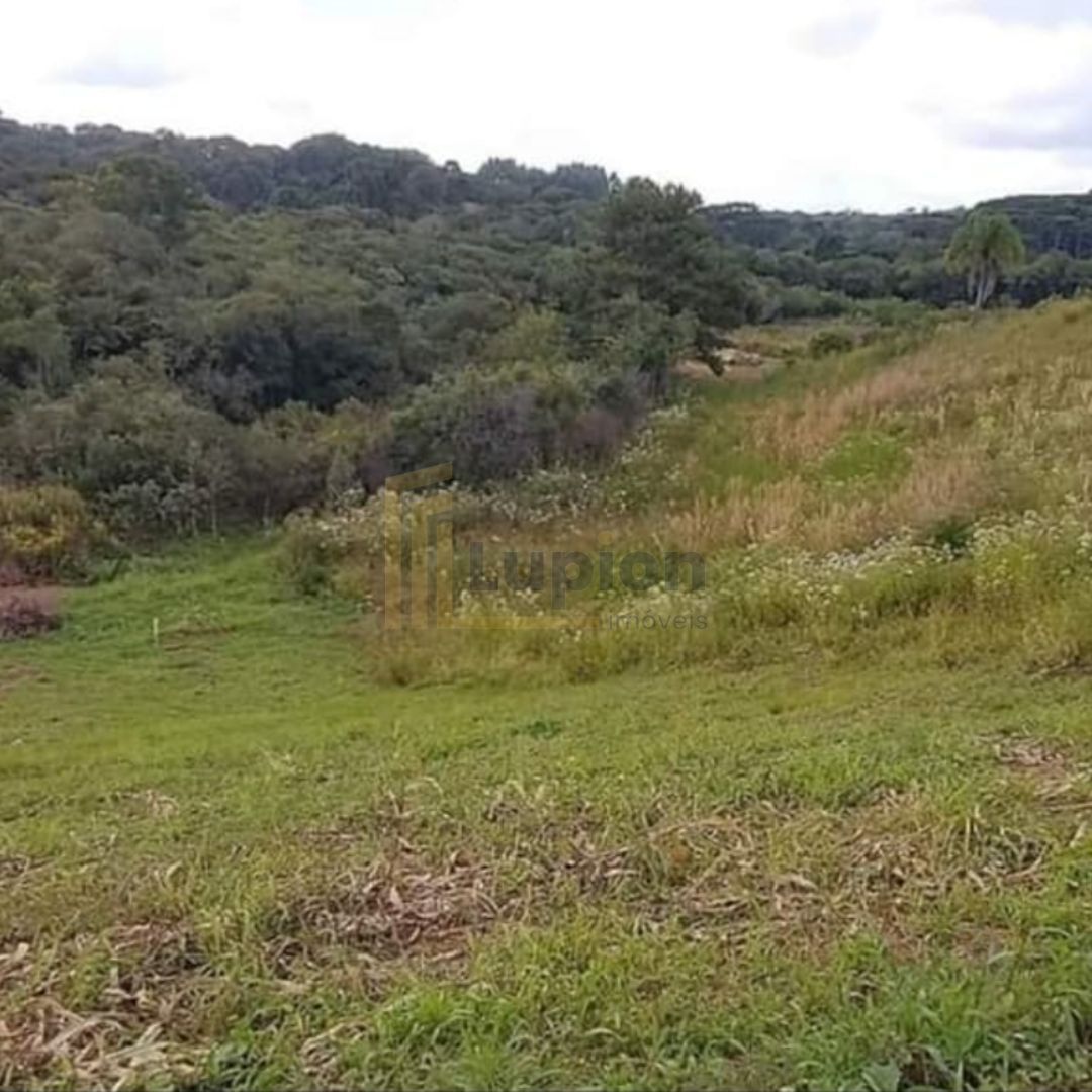 Área de 7.000m  em Contenda  Refúgio com Bosque, Córrego e Nat...